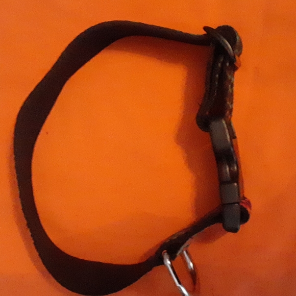 Roxy Dog Collar 1 of a Kind - Picture 3 of 3
